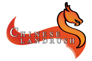 It's a Chinese domain name landrush!